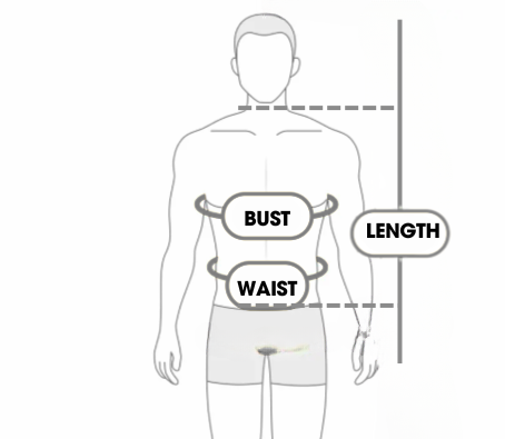 Measurement diagram showing bust, waist, and height